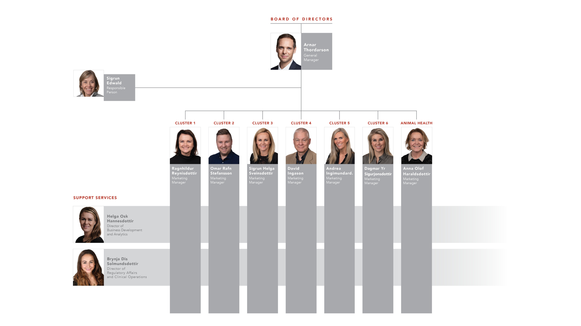 Vistor Organisational Chart